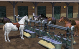Lesson_equestriancenter2